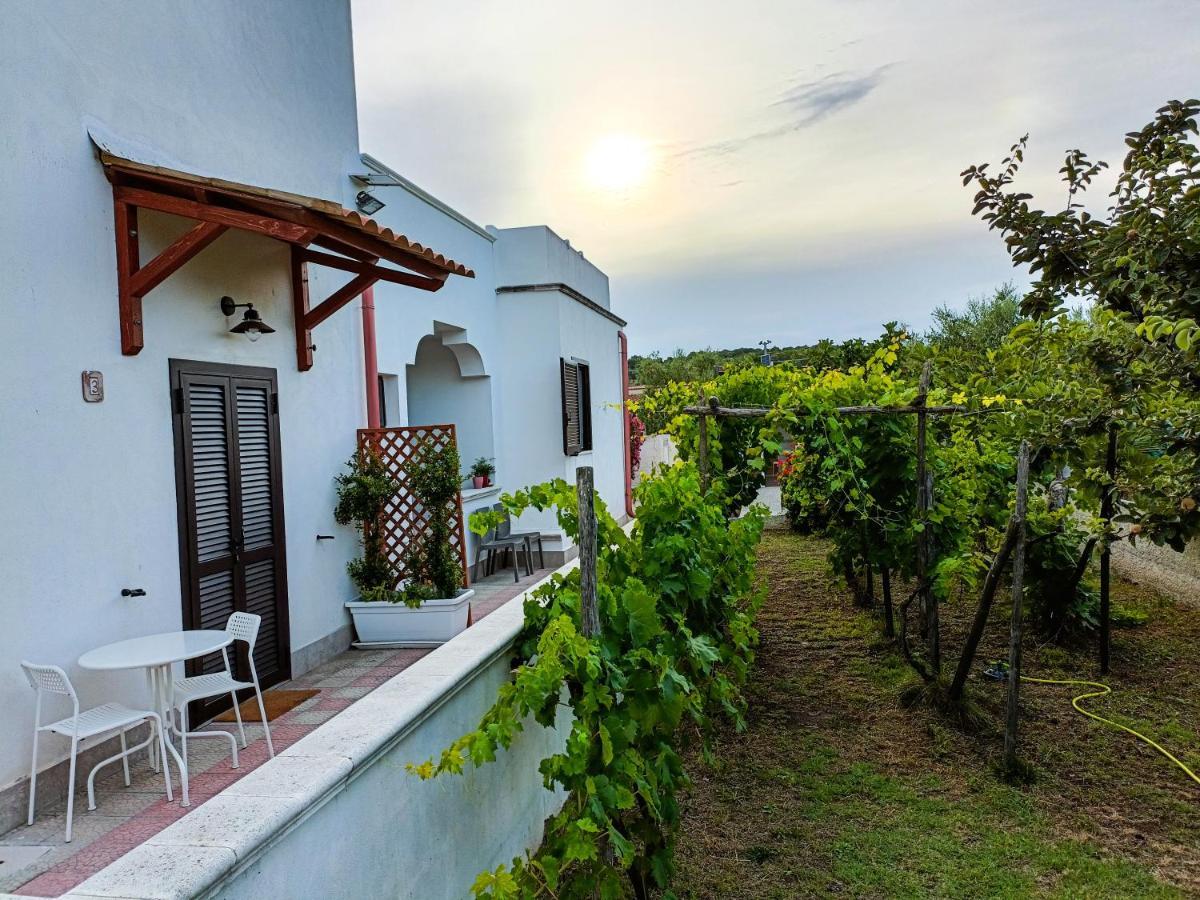 Il Giunco B&B Vieste Dış mekan fotoğraf