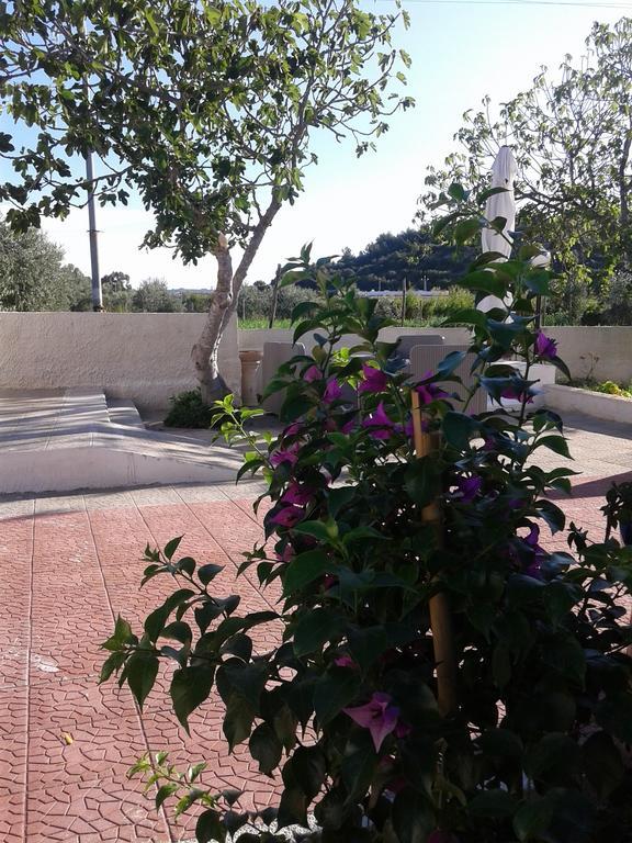 Il Giunco B&B Vieste Dış mekan fotoğraf