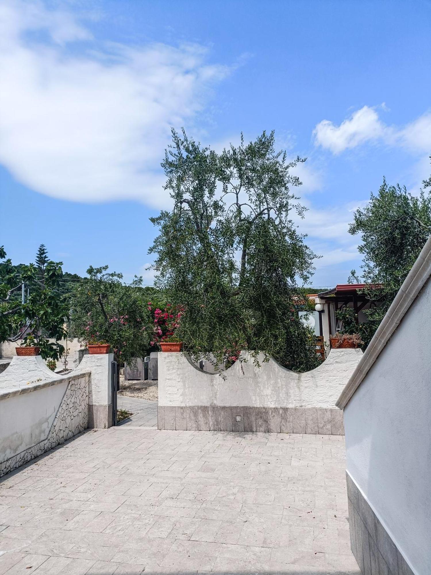 Il Giunco B&B Vieste Dış mekan fotoğraf