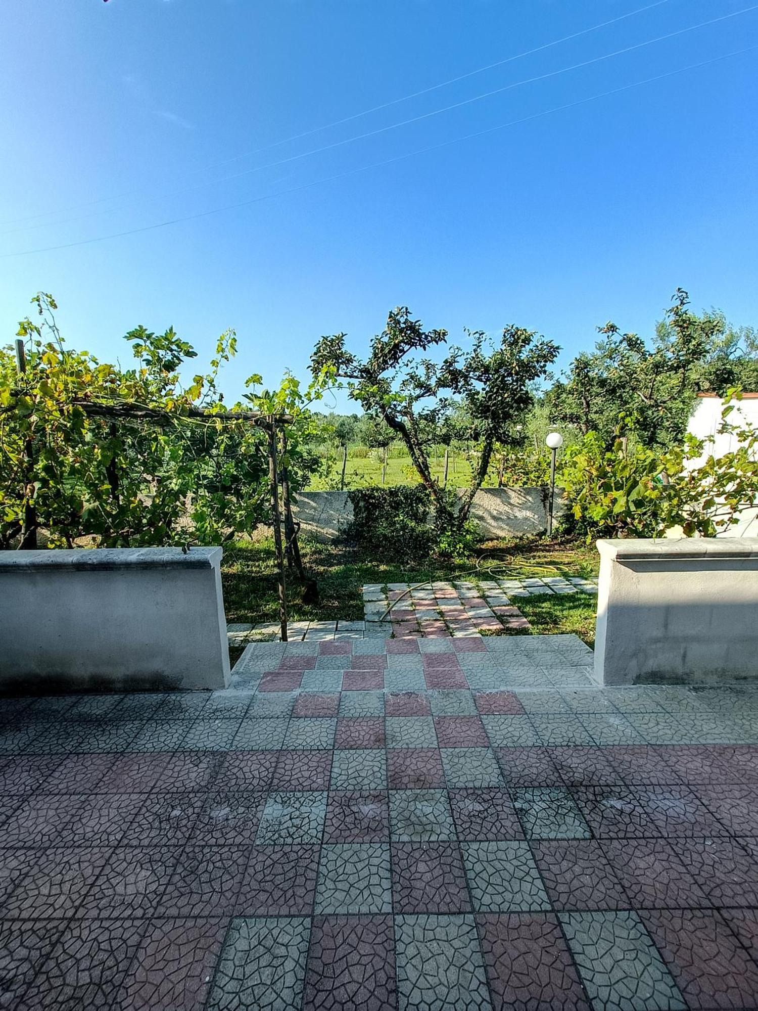 Il Giunco B&B Vieste Oda fotoğraf