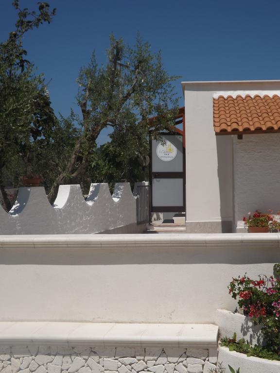 Il Giunco B&B Vieste Dış mekan fotoğraf