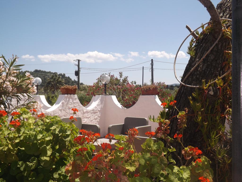 Il Giunco B&B Vieste Dış mekan fotoğraf
