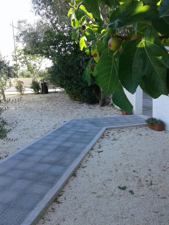 Il Giunco B&B Vieste Dış mekan fotoğraf